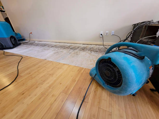 Professional Ceiling Water Damage Repair technician working in Phelan, CA